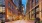 brick paved walkway between buildings