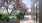 Terrace with trees, planters, and city views